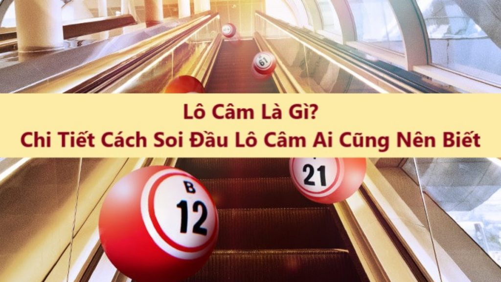 Lô đầu câm đánh con gì để vận may về tiền tài gõ cửa?